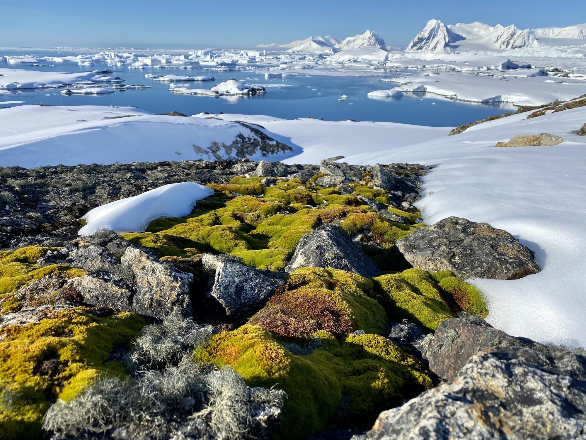 Полярник Богдан Гаврилюк: Холод - єдине, до чого не може звикнути людина